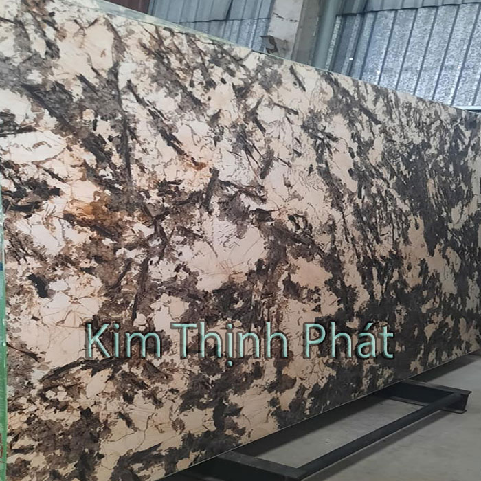 Đá hoa cương biểu lộ cho thiết kế nhà tân cổ điển